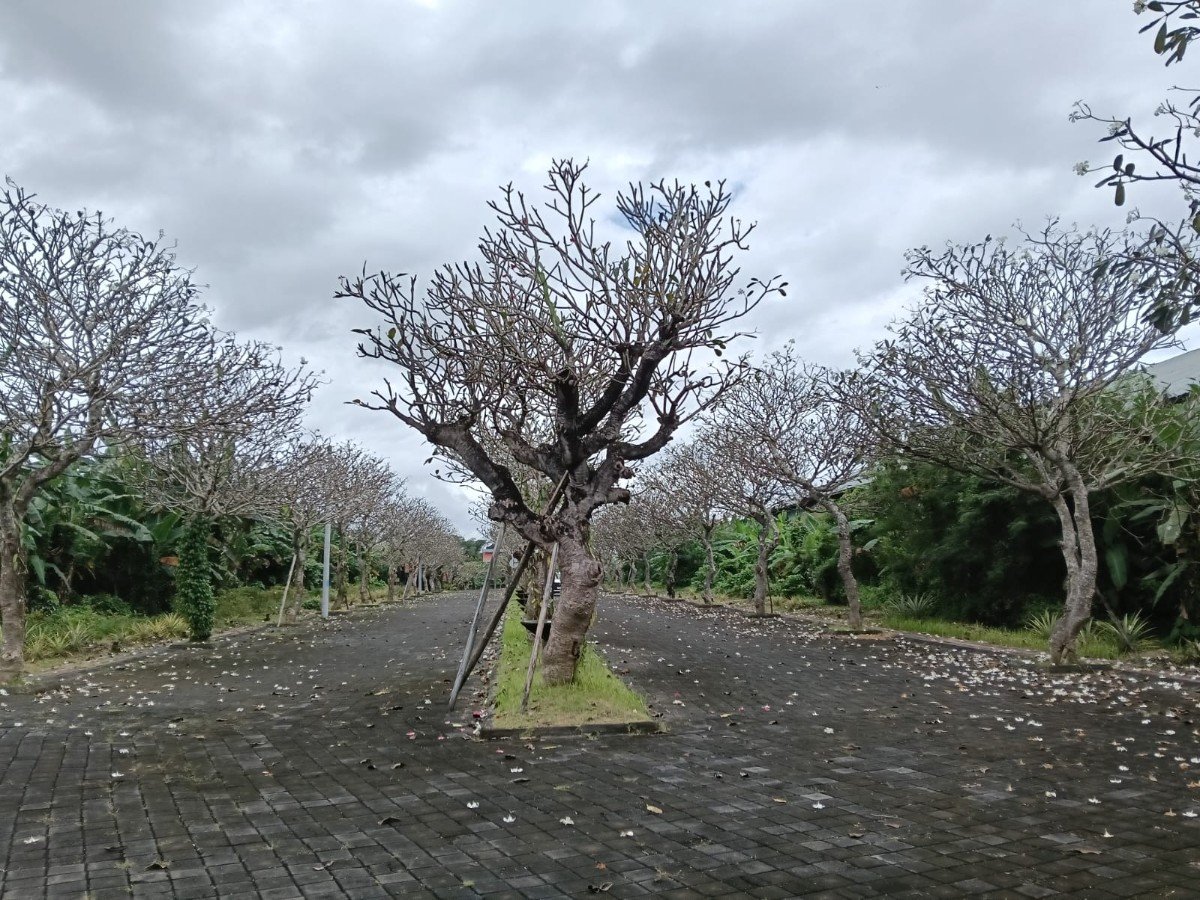 SIYUT TULIKUP - GIANYAR