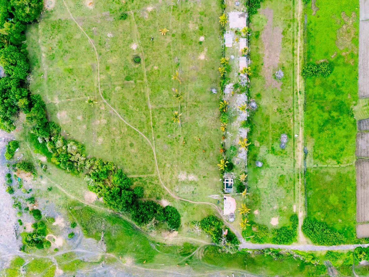 Exlusive plot Yeh Sumbul Mendoyo